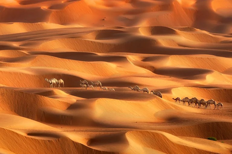 Sea of sand: Beautiful photos of Dubai's deserts — Yahoo News